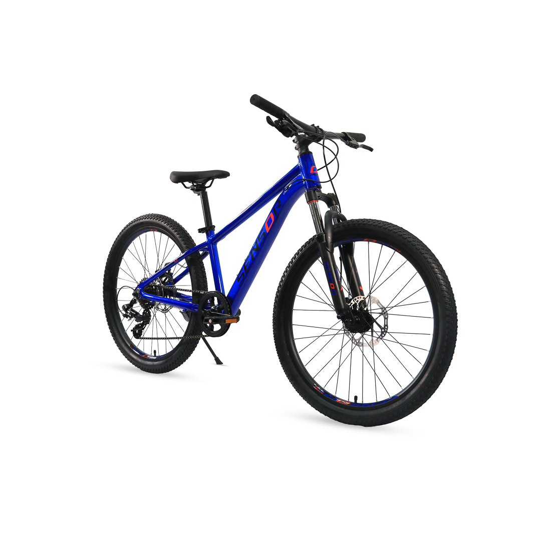 Sensor Rider 24 - Image 2